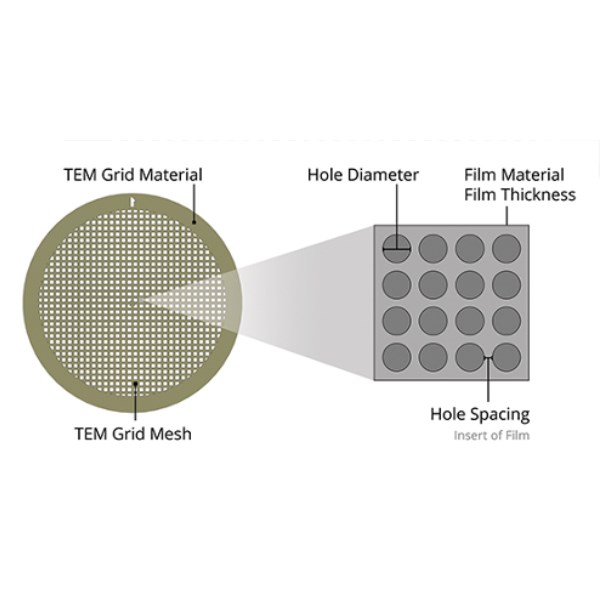 Holey Film TEM Grids