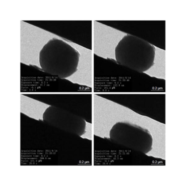 In-Situ Video Software